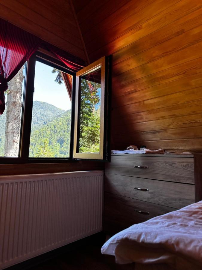 Maneviga Cafe & Apart Aparthotel Uzungöl Εξωτερικό φωτογραφία